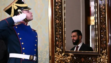 صورة العلاقات الروسية – السورية في مواجهة التاريخ والسياسة